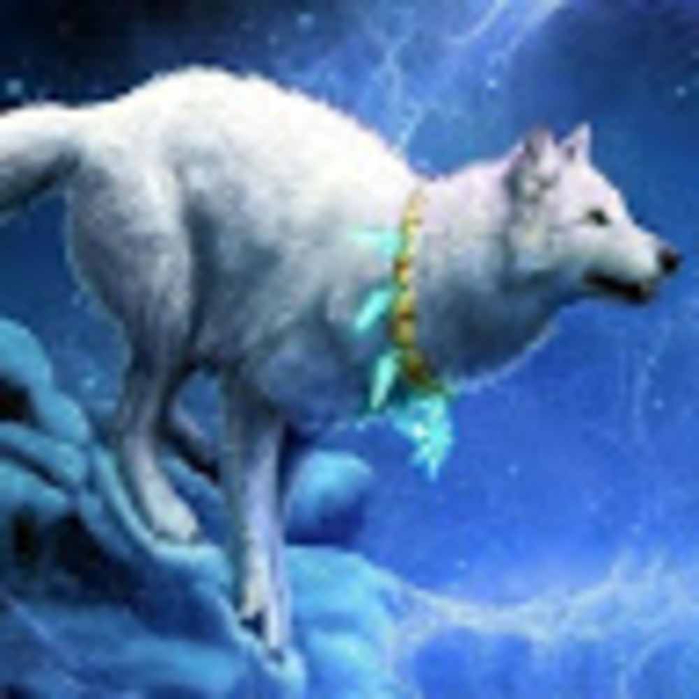 Meet your Posher, Shyann